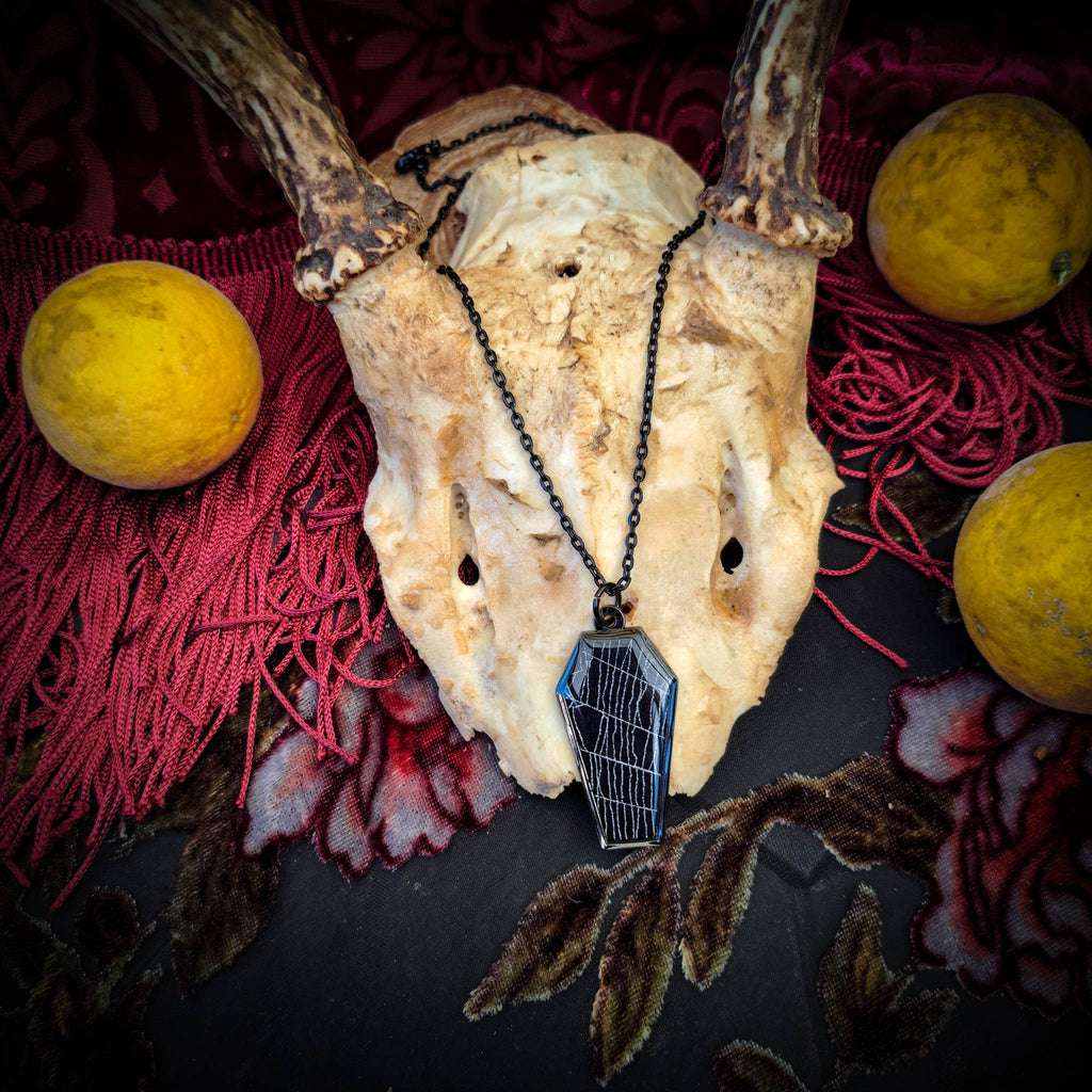 Real Spiderweb Coffin in Black (Necklace)