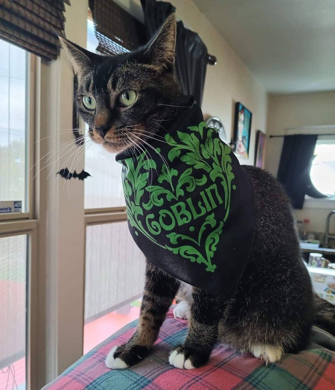 Familiar Pet Bandana