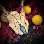 Real Spiderweb Coffin in Black (Necklace)