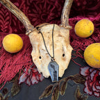 Real Spiderweb Coffin in Black (Necklace)