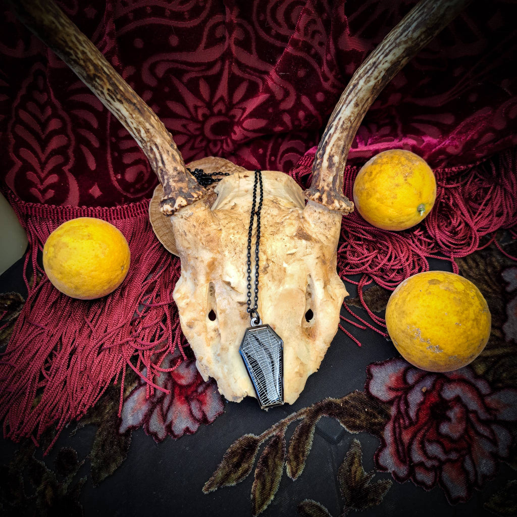 Real Spiderweb Coffin in Black (Necklace)