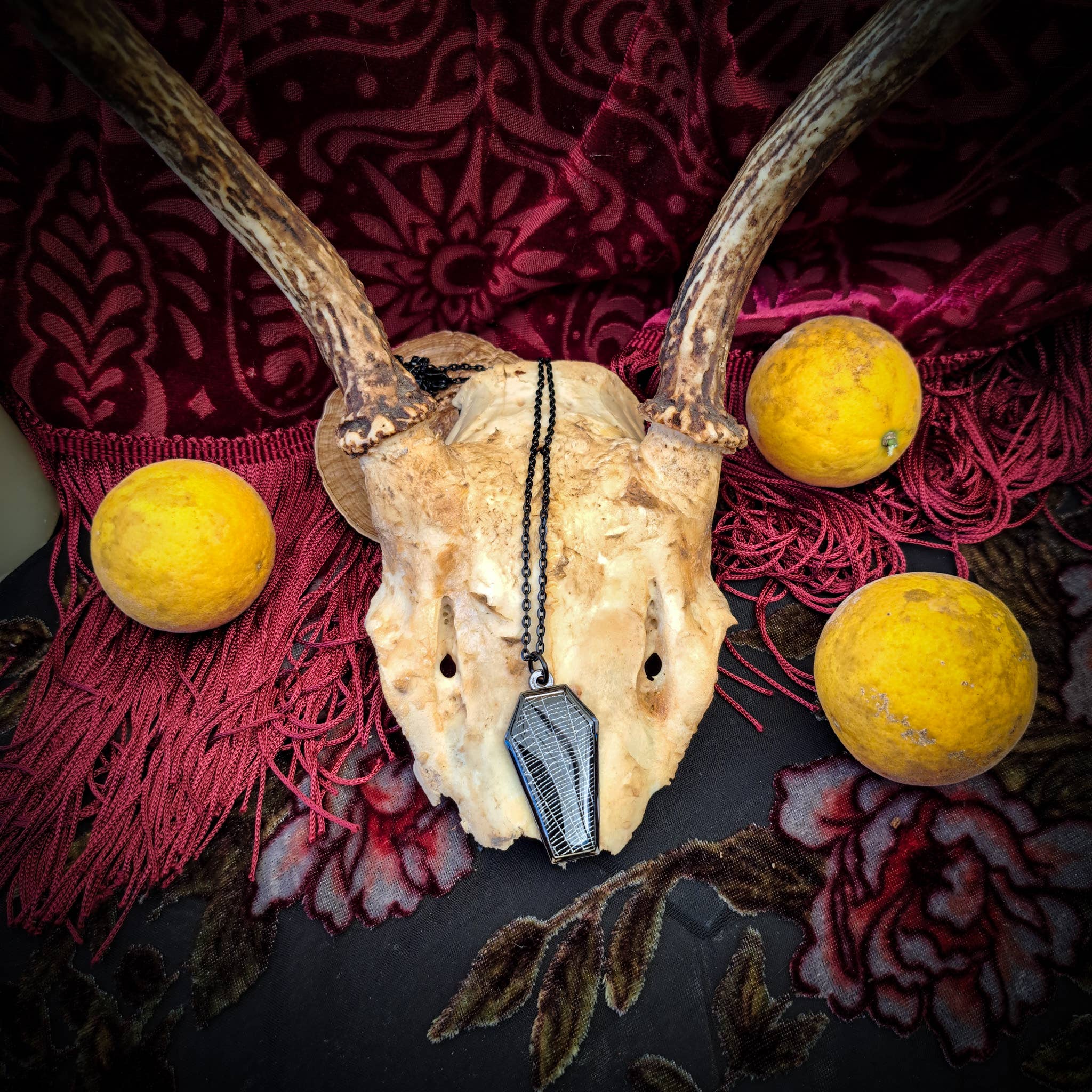 Real Spiderweb Coffin in Black (Necklace)