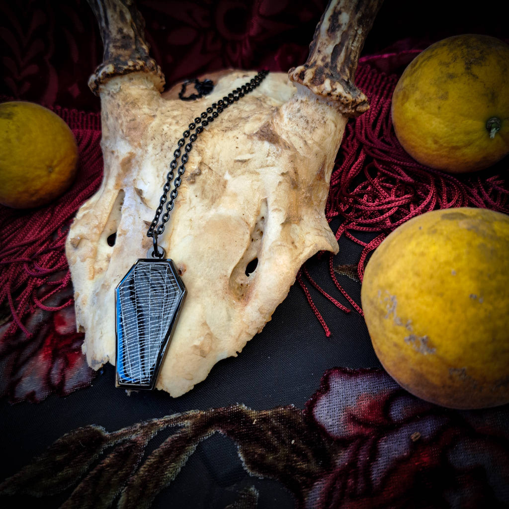 Real Spiderweb Coffin in Black (Necklace)