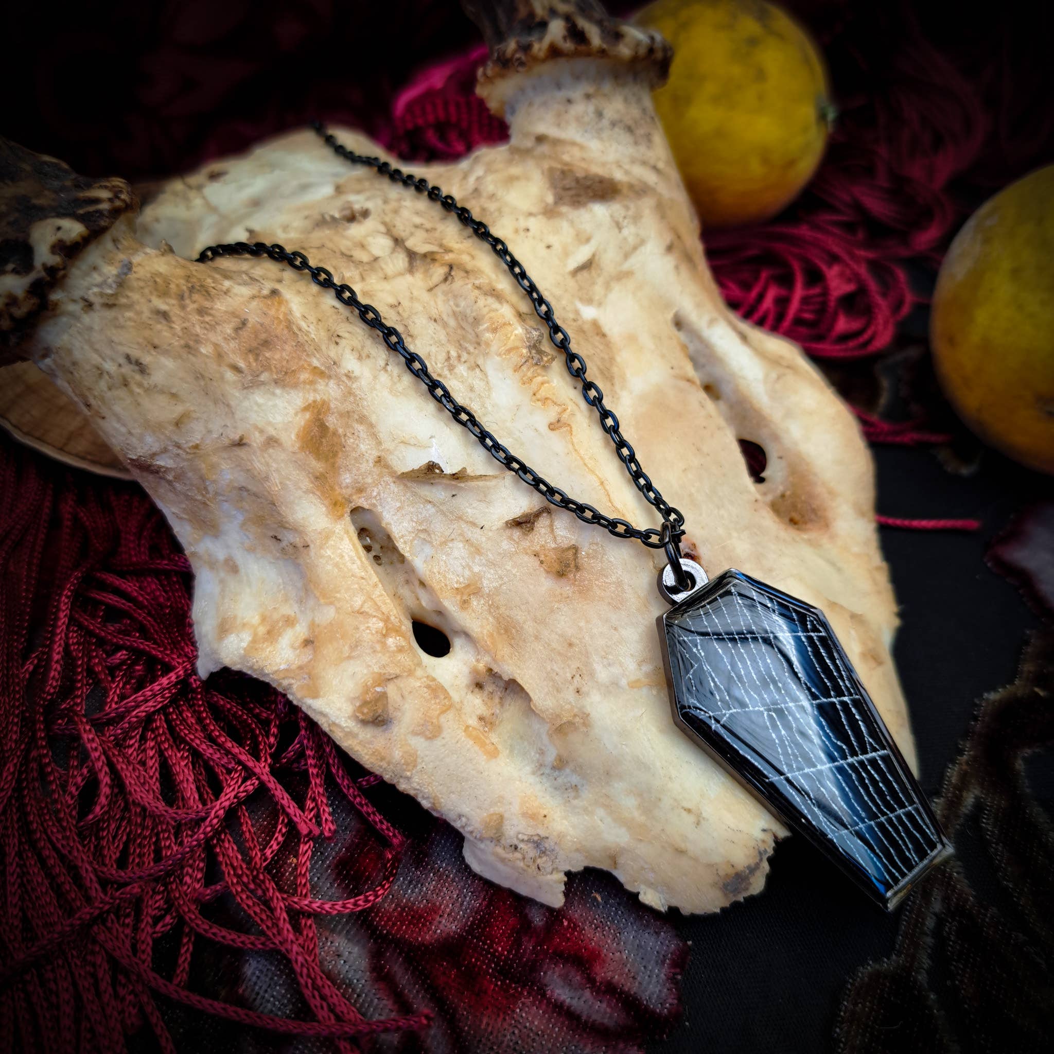 Real Spiderweb Coffin in Black (Necklace)