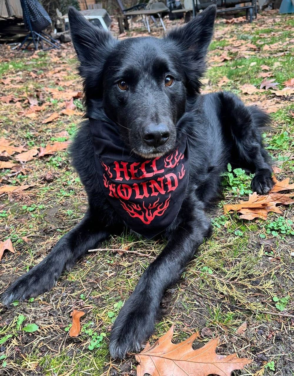 Hell Hound Pet Bandana