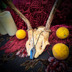 Real Spiderweb Coffin in Black (Necklace)