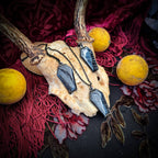 Real Spiderweb Coffin in Black (Necklace)