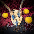 Real Spiderweb Coffin in Black (Necklace)